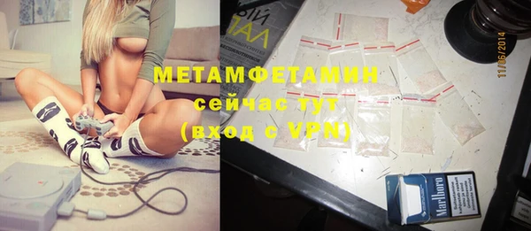 мяу мяу мука Дмитриев