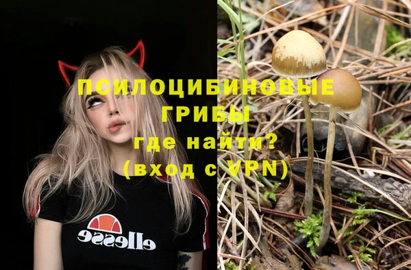 мет Дмитров