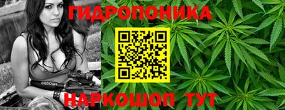 ECSTASY Волжск