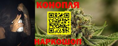 альфа пвп Волгодонск