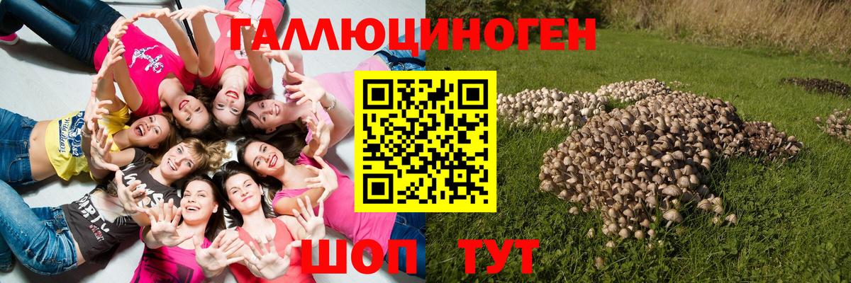 Псилоцибиновые грибы мицелий  Донецк  Галлюциногенные грибы Magic Shrooms 